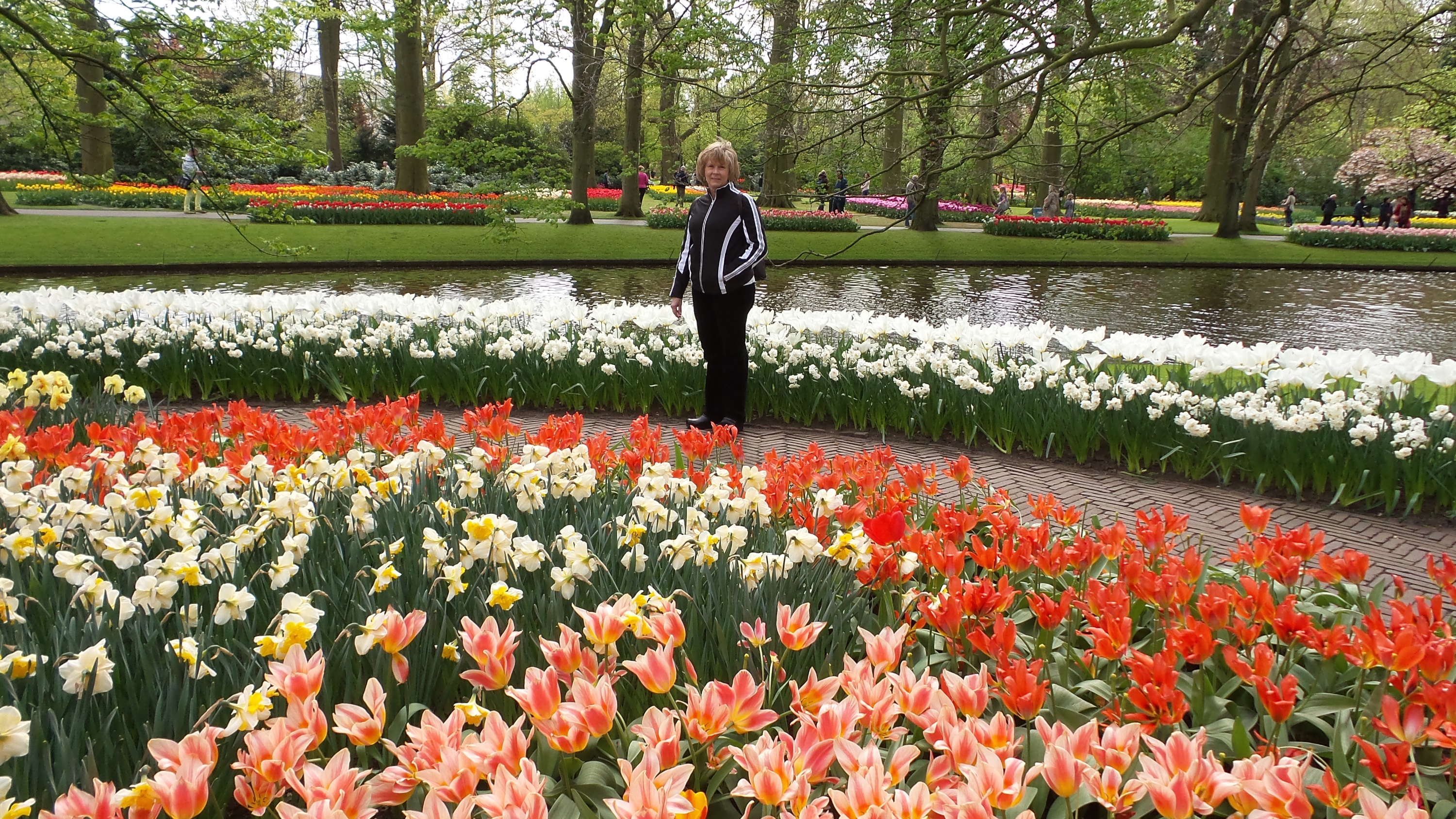 2014-04-17 Holland Tulips 53.jpg